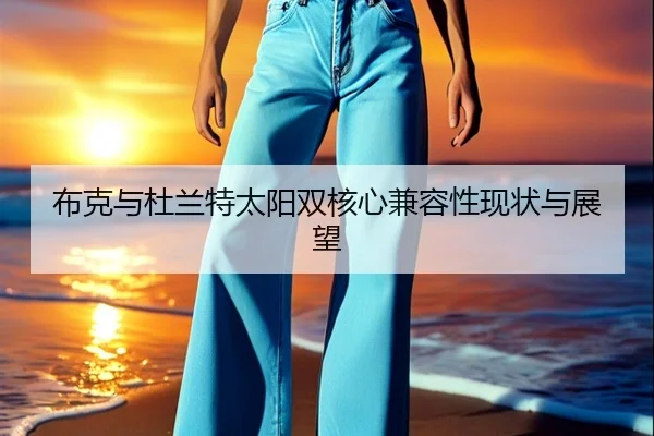 布克与杜兰特太阳双核心兼容性现状与展望